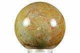 Polished Dinosaur Coprolite Sphere - Utah #370921-1